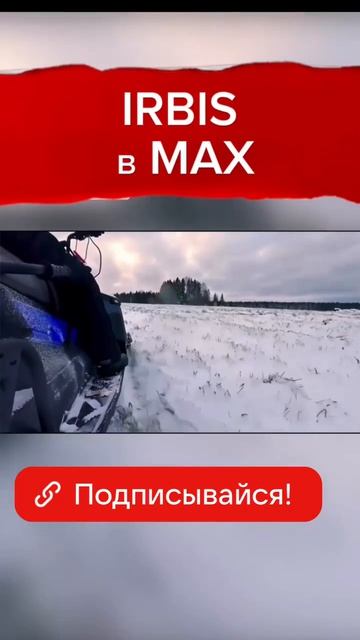 IRBIS в MAX
