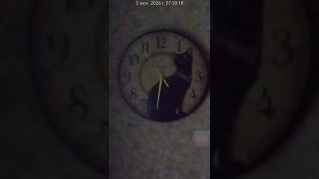 Улица Кубинка дом 22 корпус 2 Провокация соседей четыре года