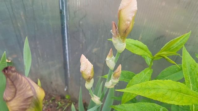 На грани🌺🌺🌺