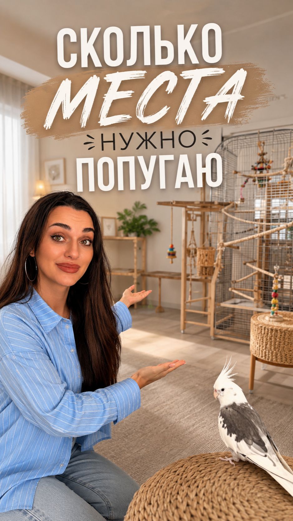 Сколько места нужно попугаю