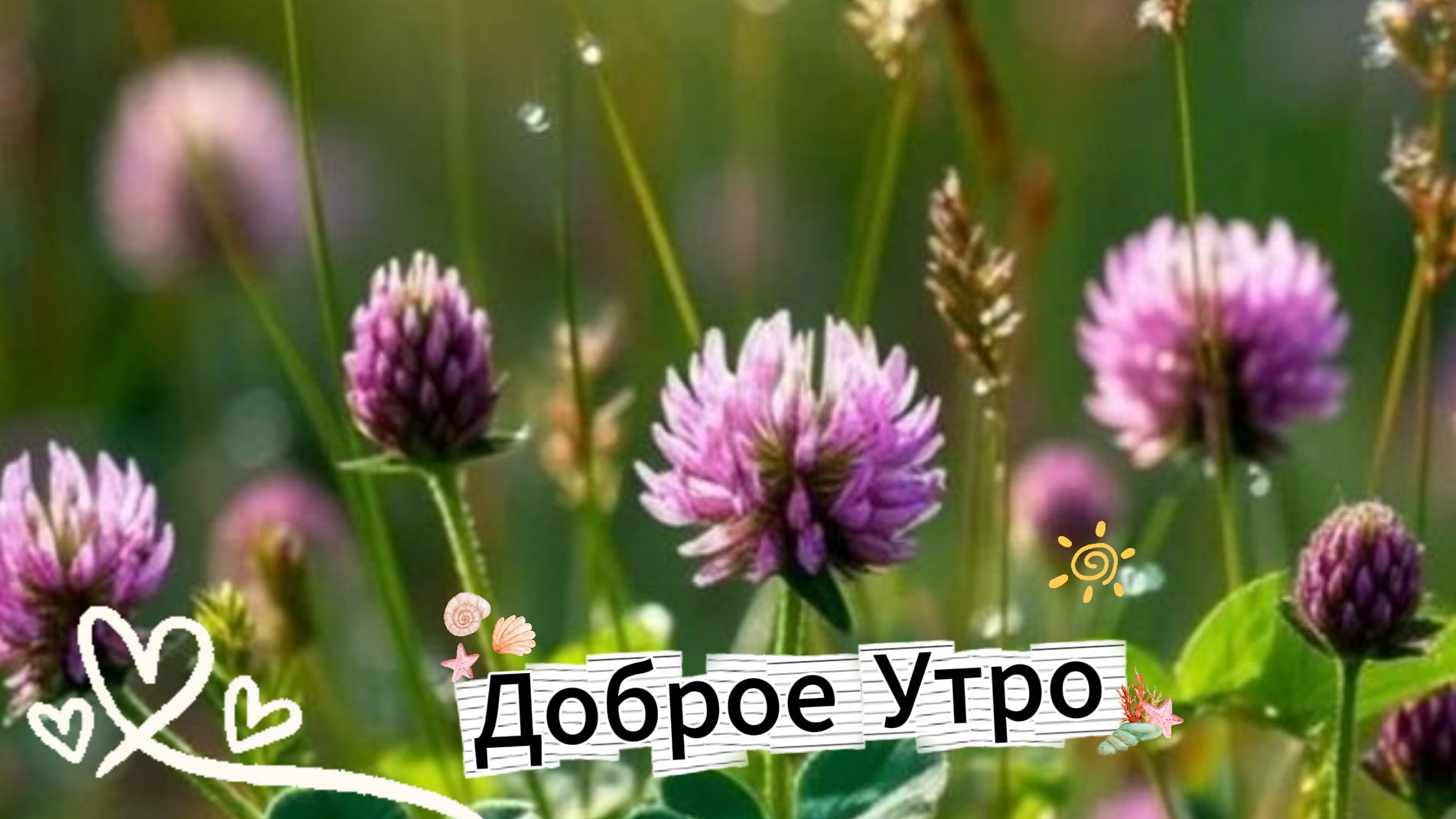 Доброе утро: красивая музыкальная открытка с пожеланиями