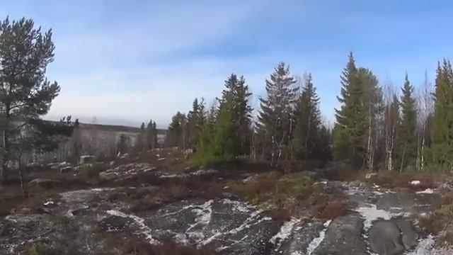 СНЕЖНЫЙ ЧЕЛОВЕК СОБИРАЕТ  ДРОВА! КОНЬ ЖДЁТ! ПРЫГНУЛ НА КОНЯ И ПРОВЕРЯТЬ ЛОВУШКИ НА КОЛЬЯХ!