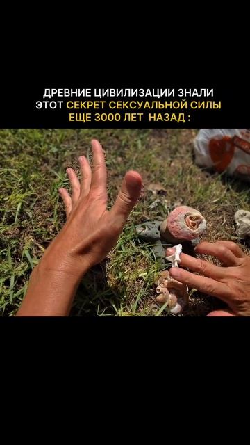 Древние Цивилизации Знали Этот Секрет / Разверни Описание