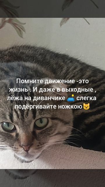 движение -это жизнь 😺