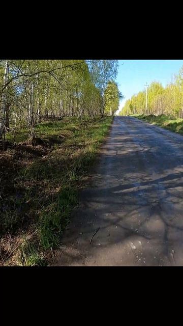 «Бег в весенней гамме»