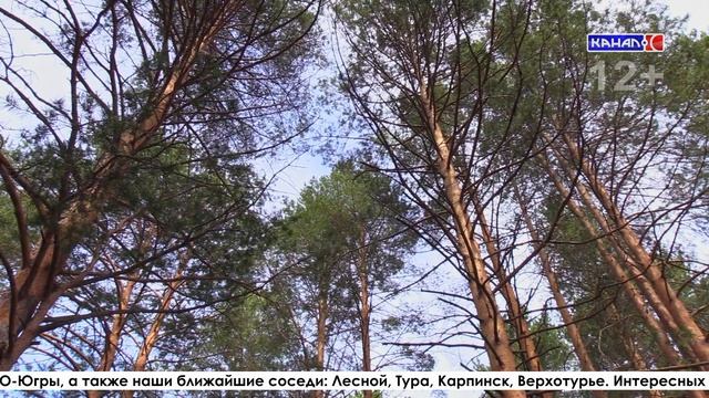 Праздник плуга и дружбы: серовчан приглашают на Сабантуй