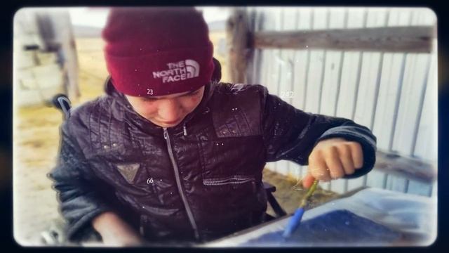 проект 