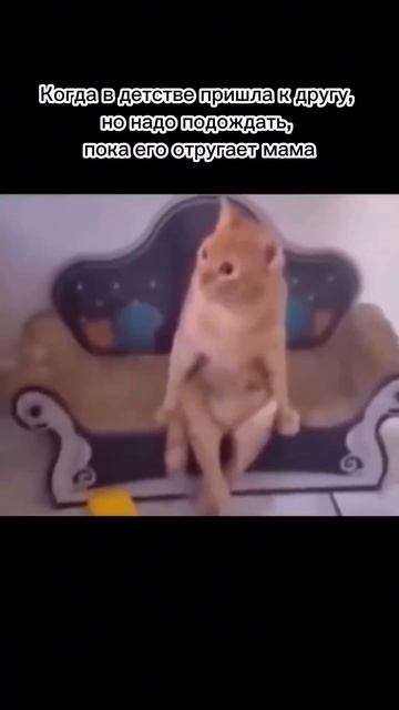 отправь другу😉