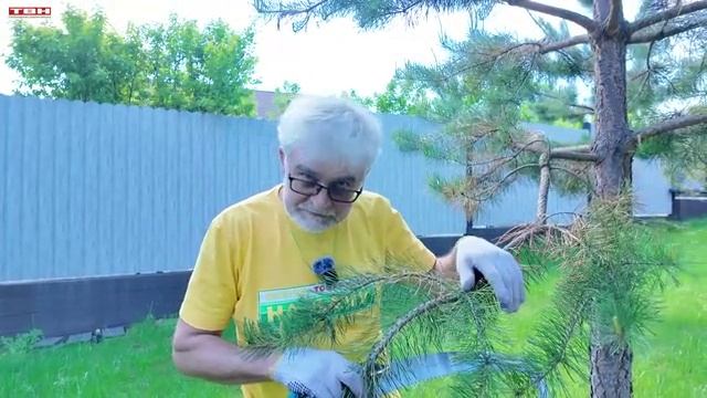 Вперед, товарищи! На дачу! Выпуск от 02.06.26