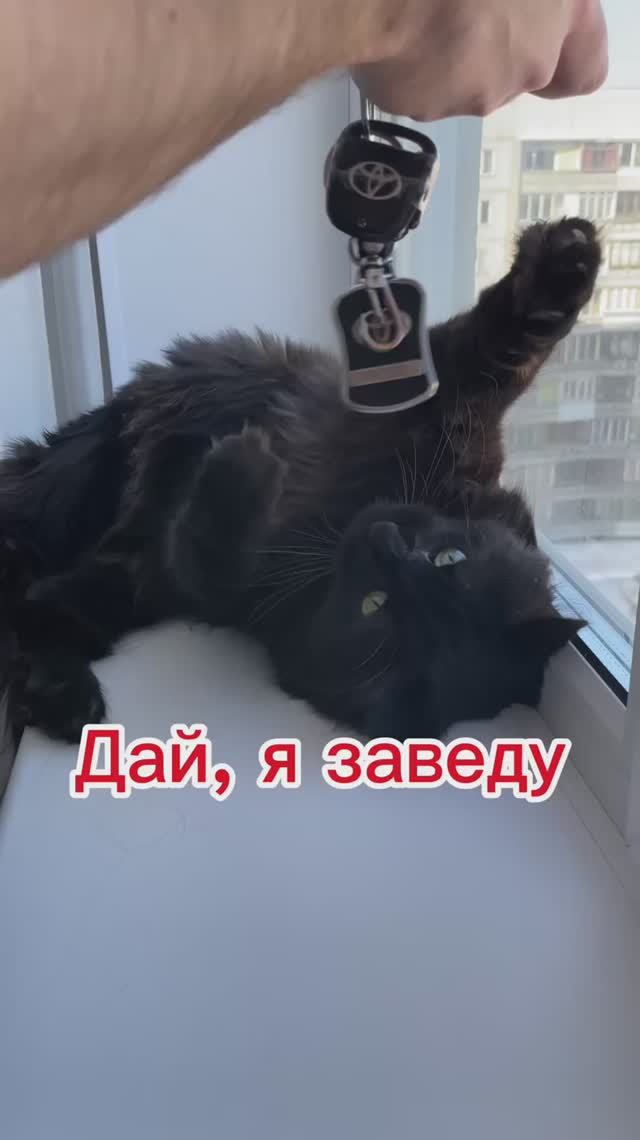 Брелок для машины-тоже интересно