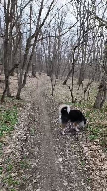 1000005520.mp4
