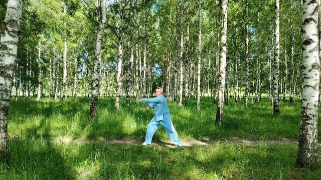 Упражнения с ротанговыми кольцами Вин Чун (18)