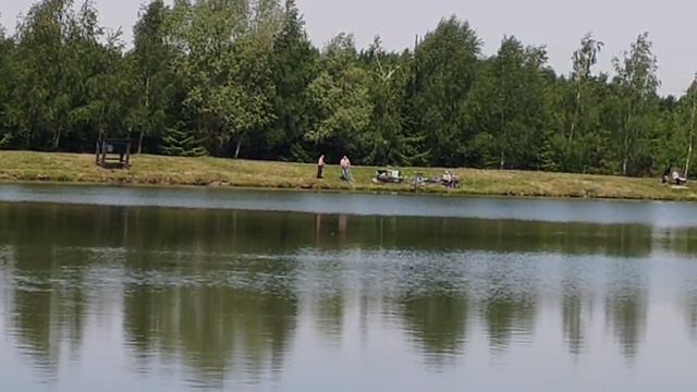 ещё один карп в подсаке