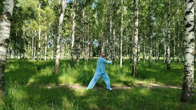 Упражнения с ротанговыми кольцами Вин Чун (14)