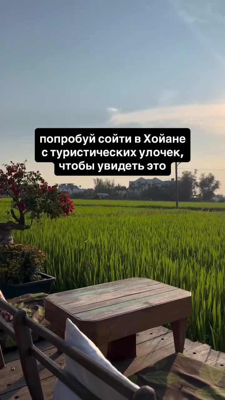 Больше интересного про Вьетнам в моем канале. Подпишись)
