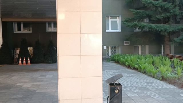 Гуляли