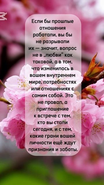 #shorts#любовь#любовьиотношения #психология #психологияжизни