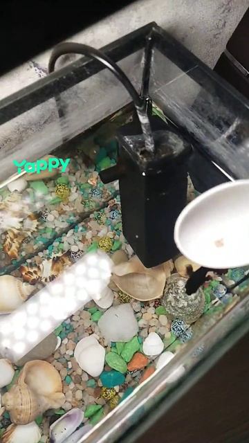 Это моя рыбка