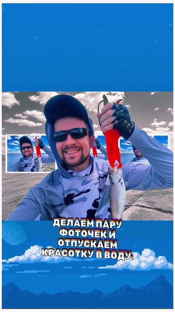 💥KDF в деле! ✅Волжская селедка на тейл-спиннеры.