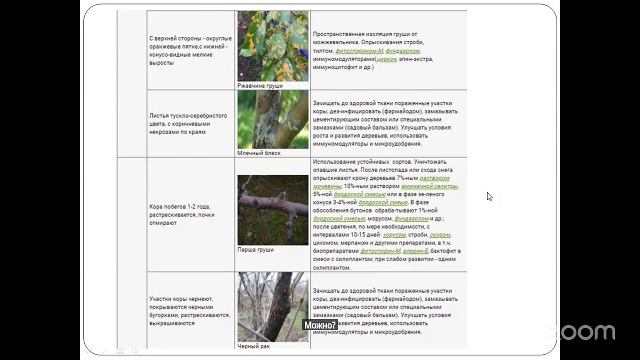 Уход за садом с Анастасией Борункова 4.6 14:00