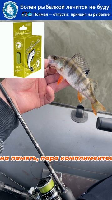 🎣🐟 Поймал — отпусти: мой новый принцип на рыбалке! Плетенка AQUALON.
