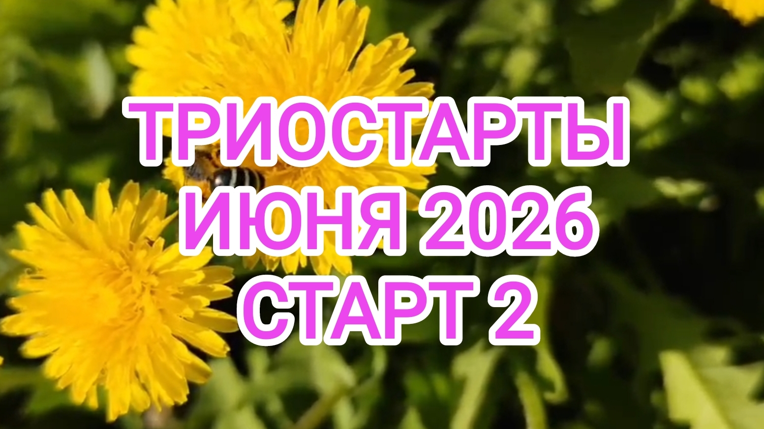 ТРИОСТАРТЫ ИЮНЯ 2026/ СТАРТ 2