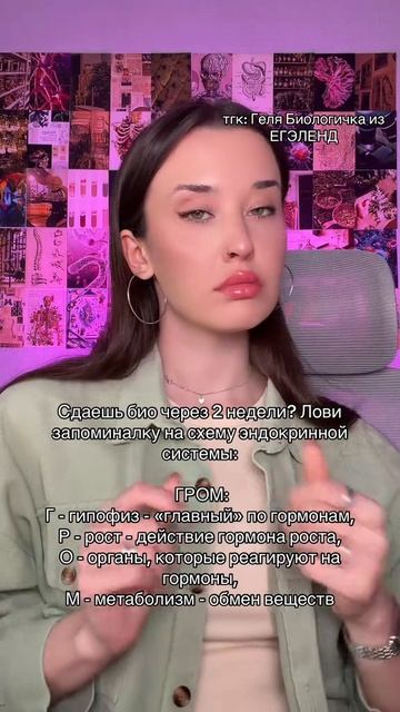 Лови запоминалку! Забирай ПОЛЕЗНЫЕ ФАЙЛЫ в моем тгк в шапке канала!