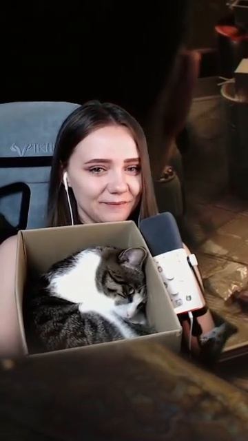 Внезапное нападение Котэ
