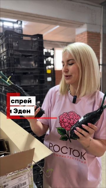Доедут ли саженцы почтой? Распаковываем заказ в Краснодарский край