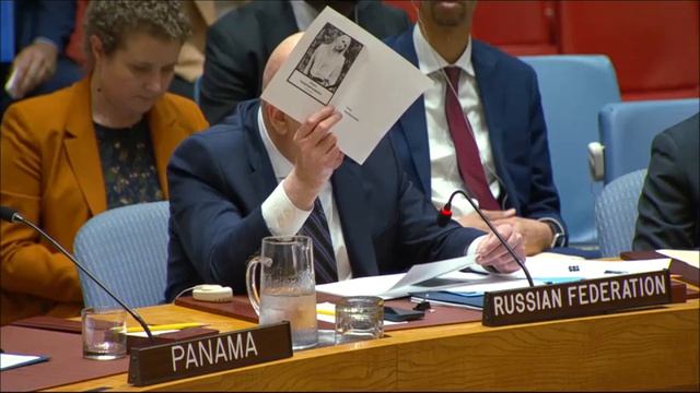 Ответное слово В.А.Небензи в СБ ООН по падению беспилотного летательного аппарата в Румынии