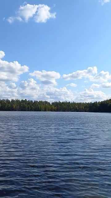 Живу мечтой