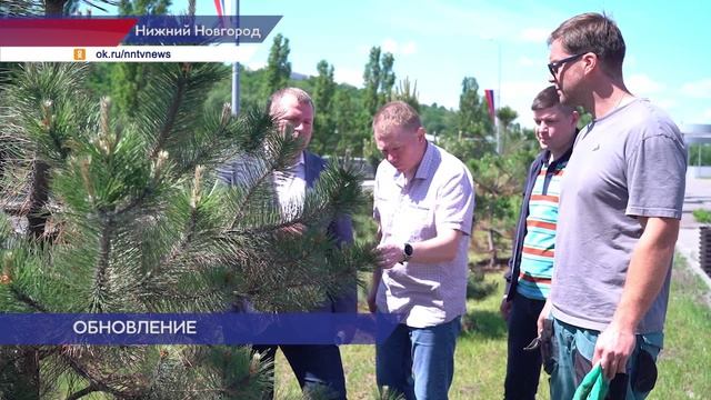Более 450 деревьев и почти 400 кустарников планируется высадить в этом году в Нижнем Новгороде