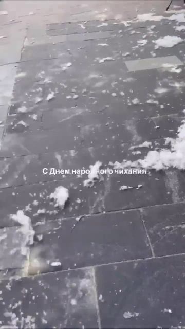 Тополиный пух на улице Москвы