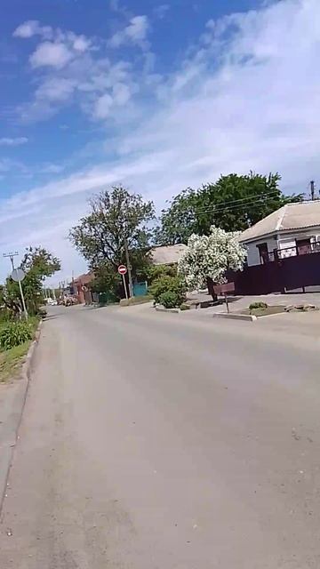 1955.mp4