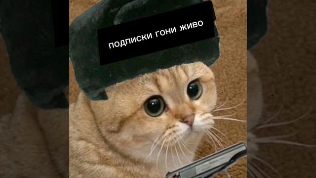 мой мем который сделал я