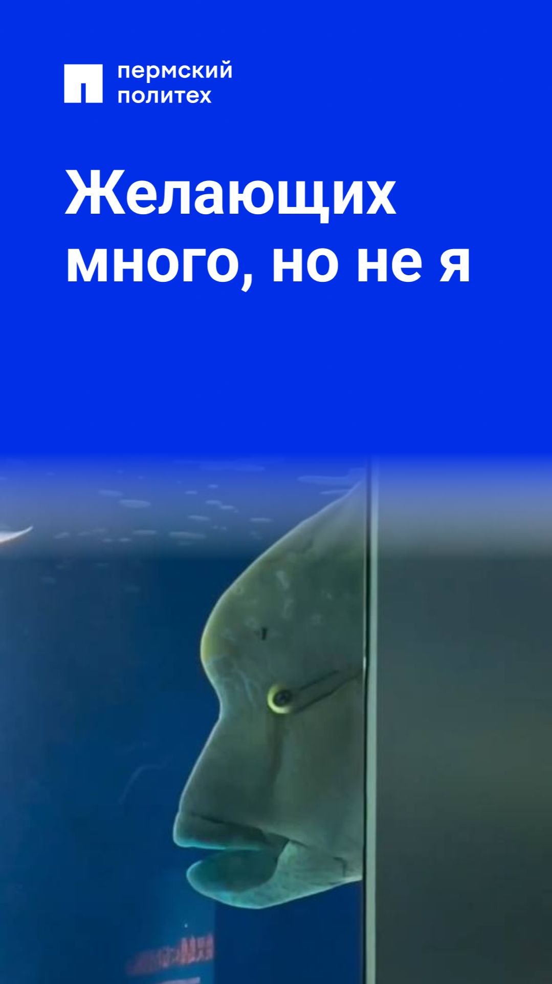 Желающих много, но не я