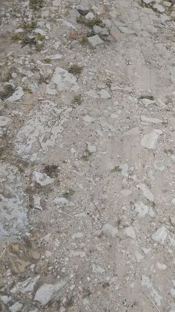 Старинная дорога!