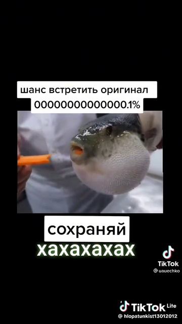 Фюгу!