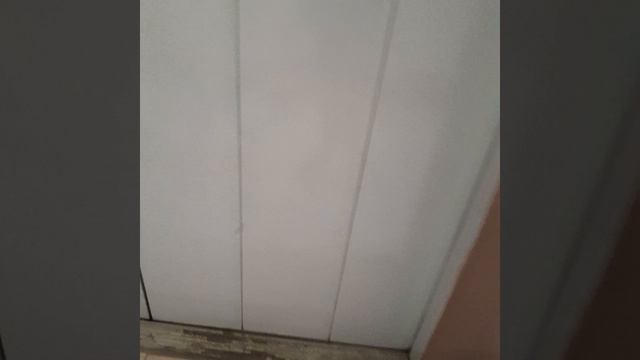 1000015147.mp4