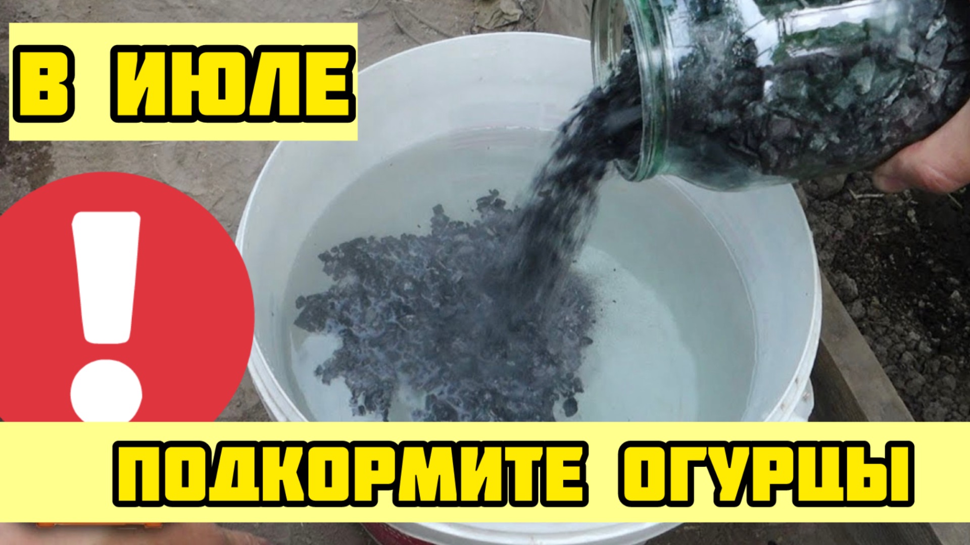 Подкормить этим в ИЮЛЕ ОГУРЦЫ и они будут плодоносить очень долго!