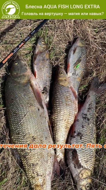 🎣🐟 Голавль на вертушку AQUA Fish Long Extra | Улов на реке