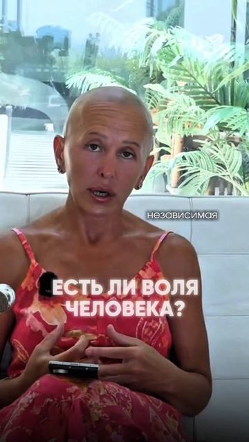 Скрытый Смысл Фильма «Интервью с Богом» / Продолжение в Описании