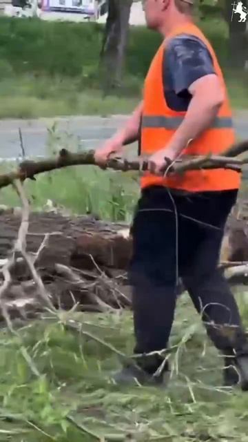 Как мы делаем город чище и безопаснее?