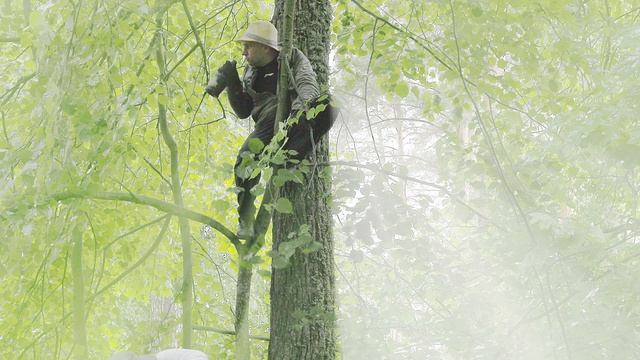 Белочка