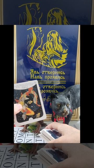 Совет дня🐸 4июня💖#новинка#работа#семья#отношения#