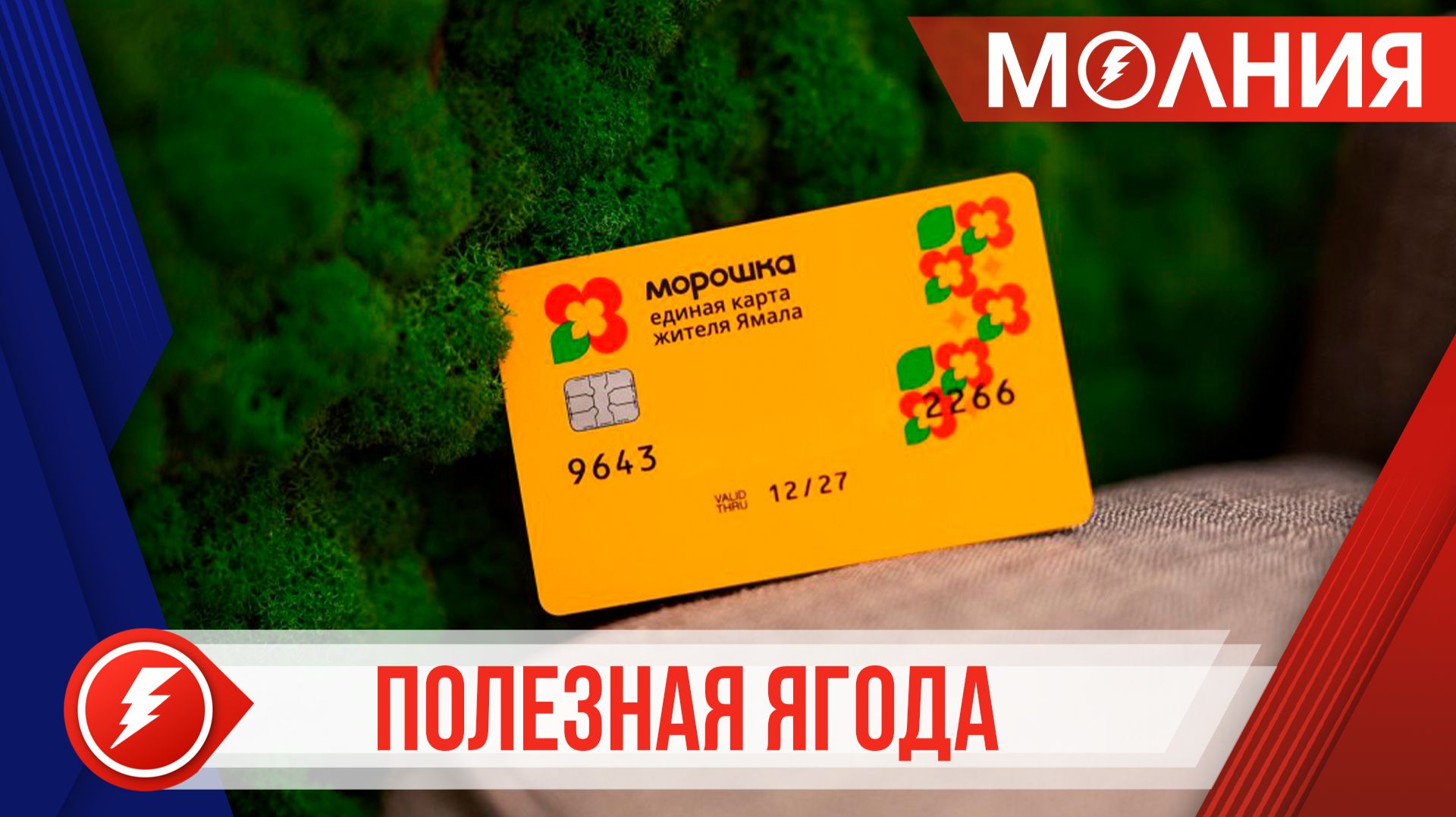 В Пуровском районе работают 12 партнёров программы лояльности «Морошка»