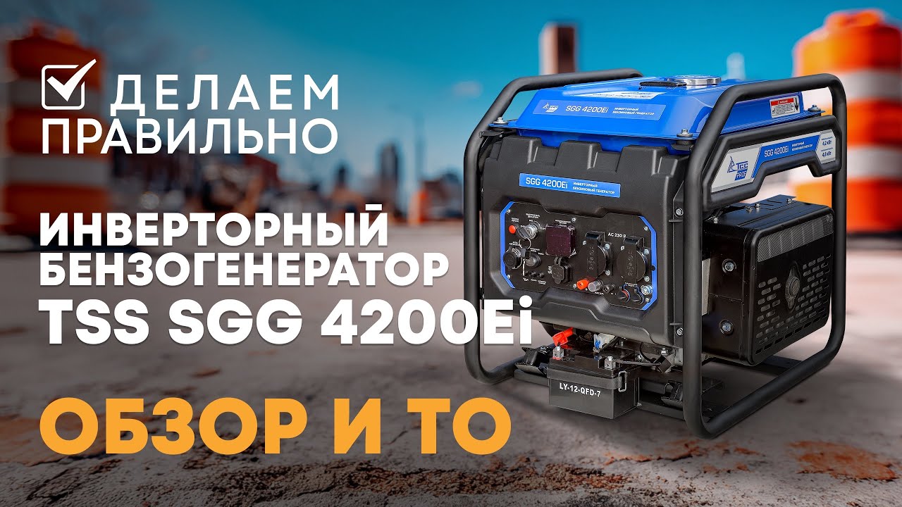TSS SGG 4200Ei: техобслуживание