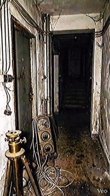 Часть 1 | Мутаген
#криппипаста #история #мутаген #creepypasta