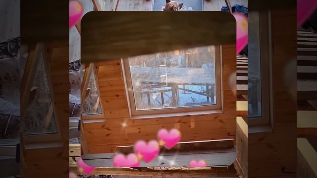 1000060966.mp4 (Собака наблюдает за укладкой пола из фанеры на 2-ом этаже в доме А-фрейм)