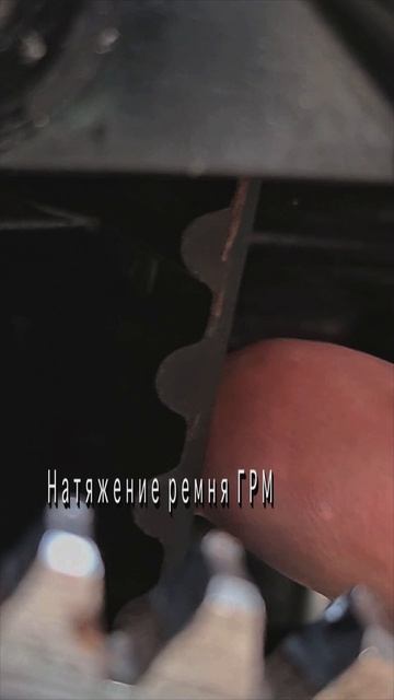Что стало с мотором  Tohatsu MFS 9,9-20 после 300 часов ?